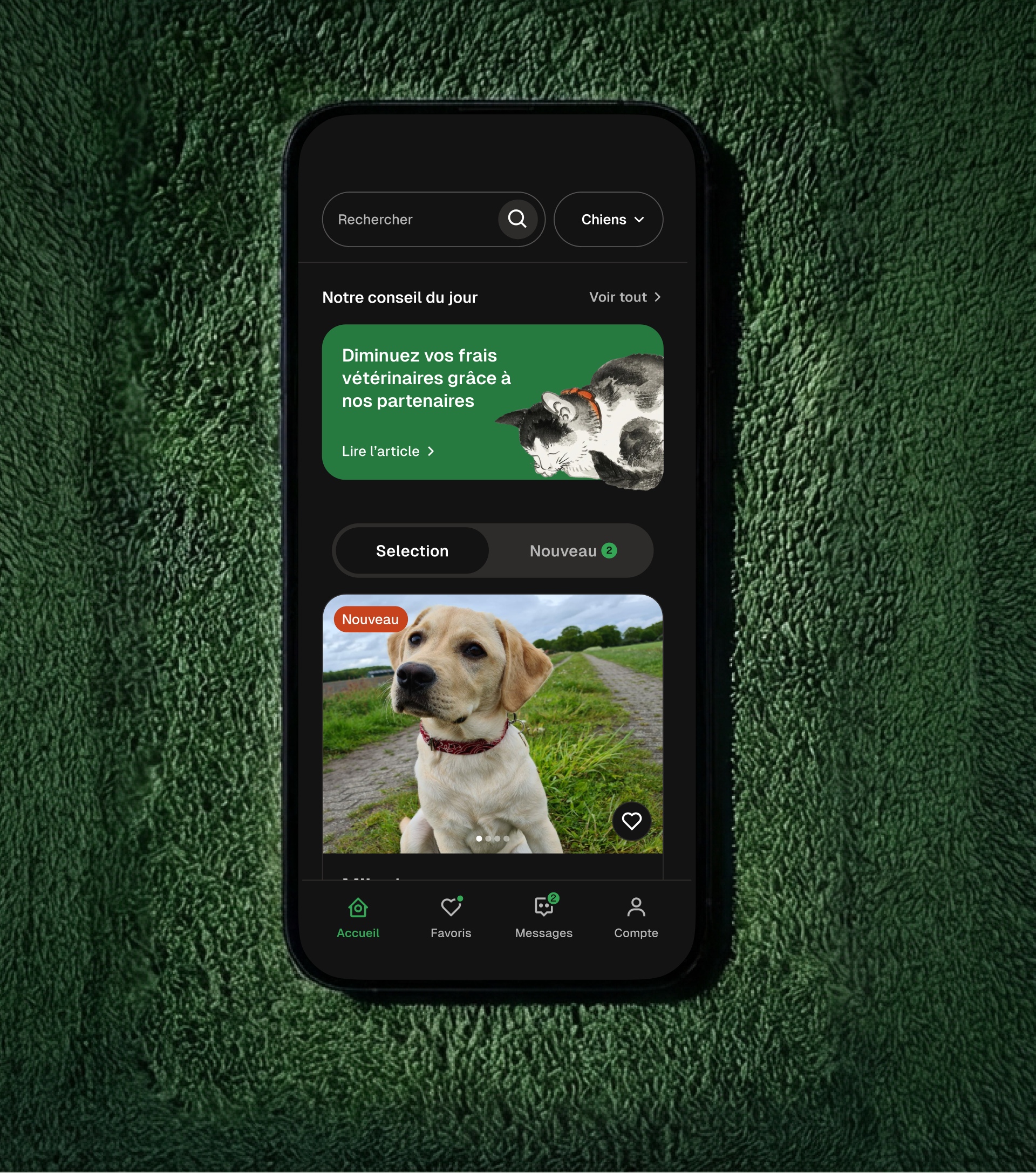 mockup application argos dark