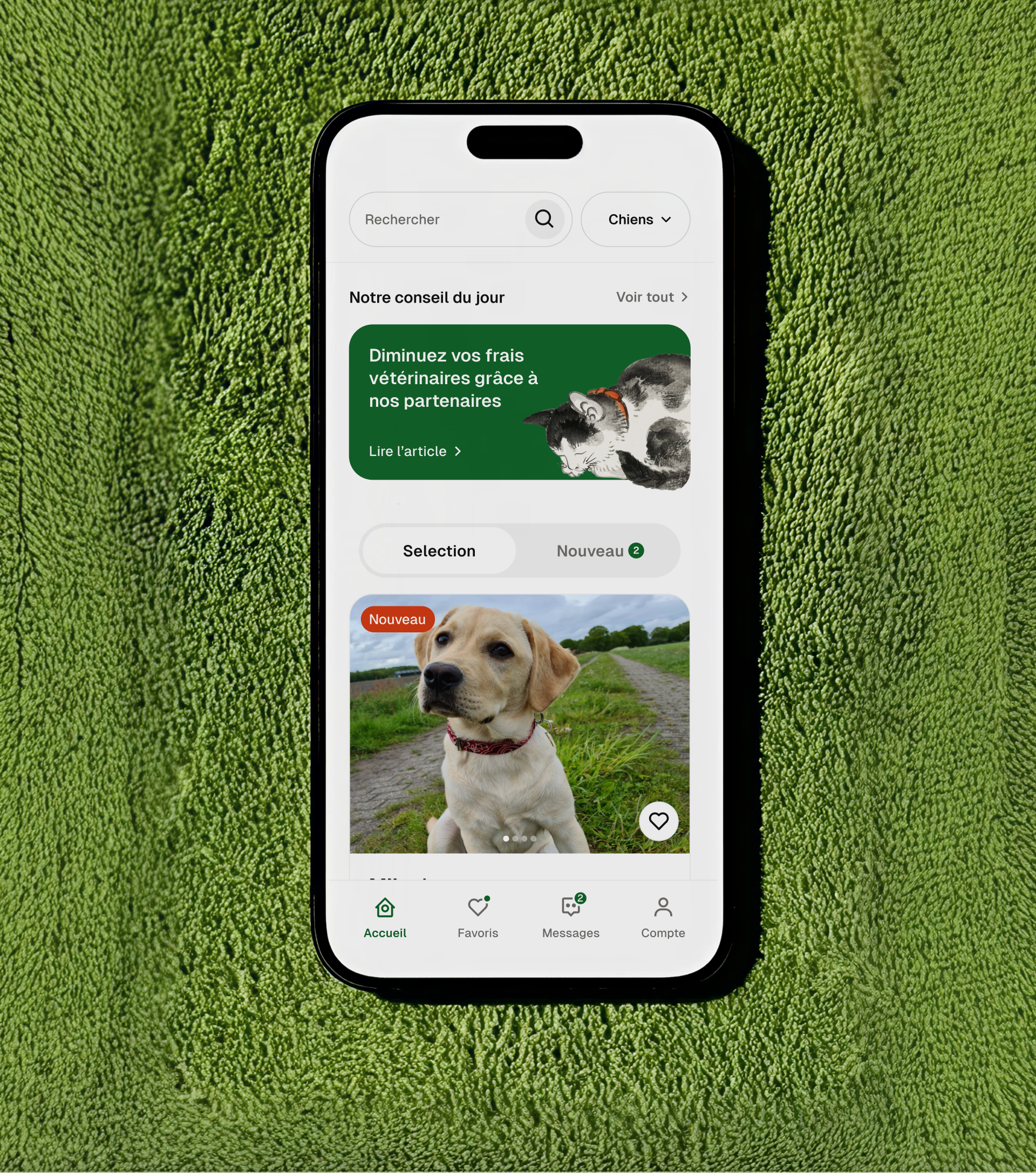 mockup application argos